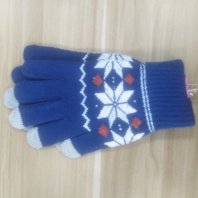Daily life fashion pad winter glove boy