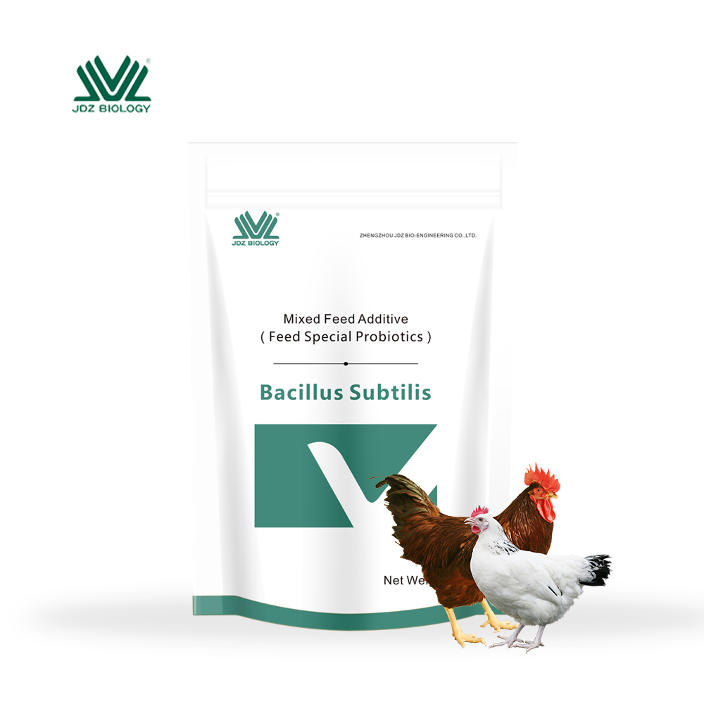 Reliable Qulity Made In China Anti Diarrhea Functional Bacillus Subtilis Probiotics For Duck Goose Chicken