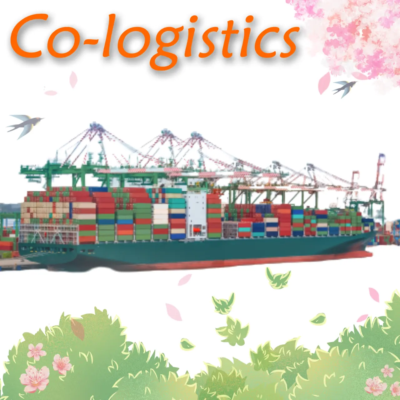 Excellent Shipping Agent Cheap Shipping Rate Gold Supplier International Sea Freight Best Quote from China to Worldwide