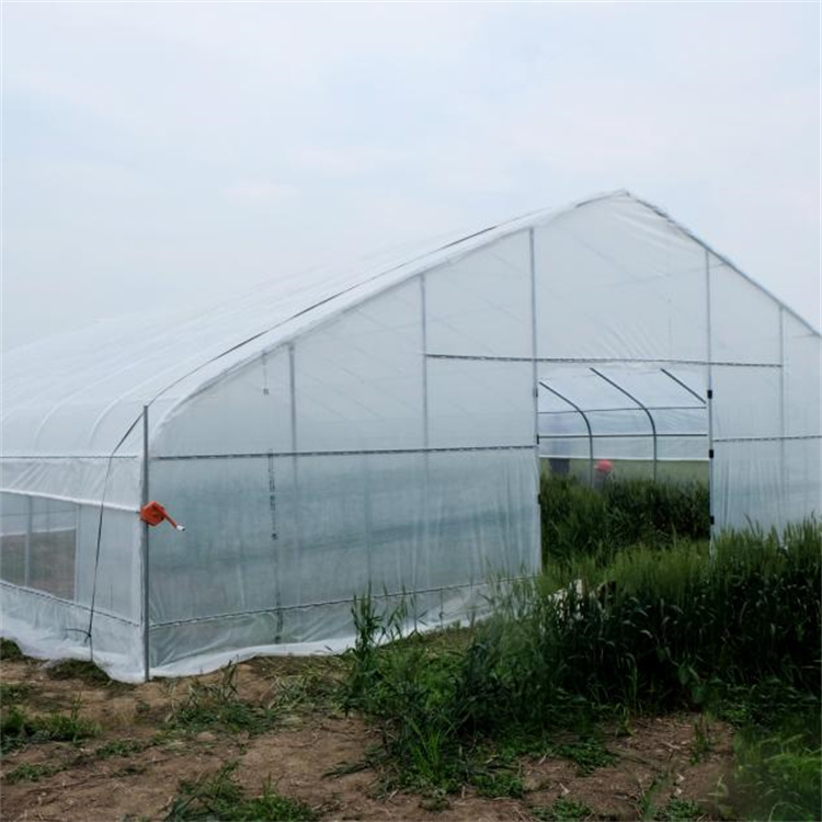 BAOLIDA serre gothique US CANADA agriculture length 100ft high tunnel plastic greenhouse gothic greenhouse