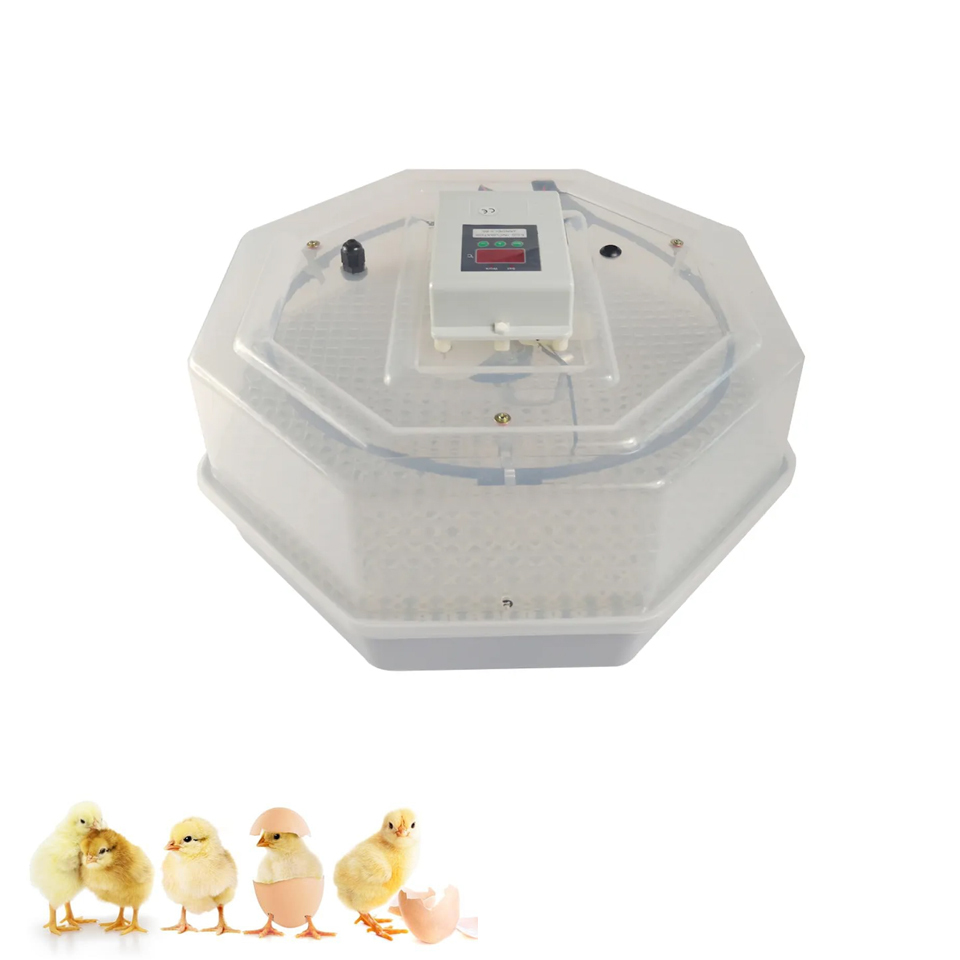 JN5-60 manual chicken egg incubator mini poultry small egg incubators hatching eggs