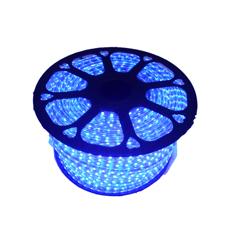 SMD 5050 RGB IP68 Waterproof 220V led flexible strip light