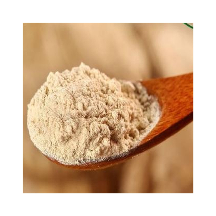 Export Quality Aid Digestion Rootless Fleshy 25kg Organic Medicial Mushroom Powder For Food Nutrition