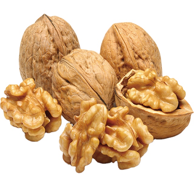 High Quality Raw Walnut Baking Ingredients Daily Snack Nuts in Bag Packaging