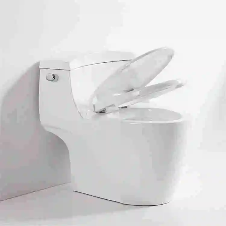 2019 cheapest sensor toilet auto flush