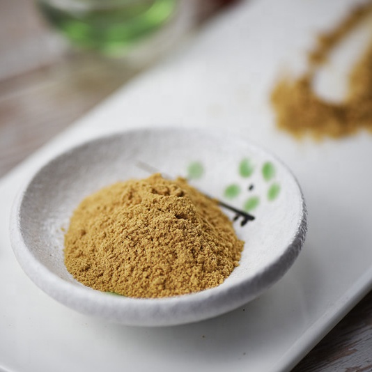 Dried boletus edulis powder