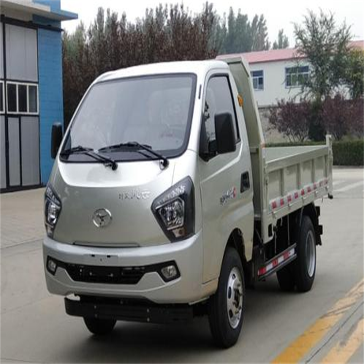 Factory Direct Selling Cheap Price Howo Original Light Truck Diesel