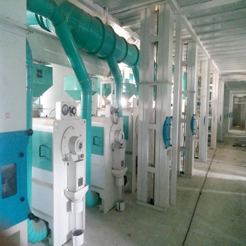 10T-120TPD  Millet Processing Equipment for Complete Production Line