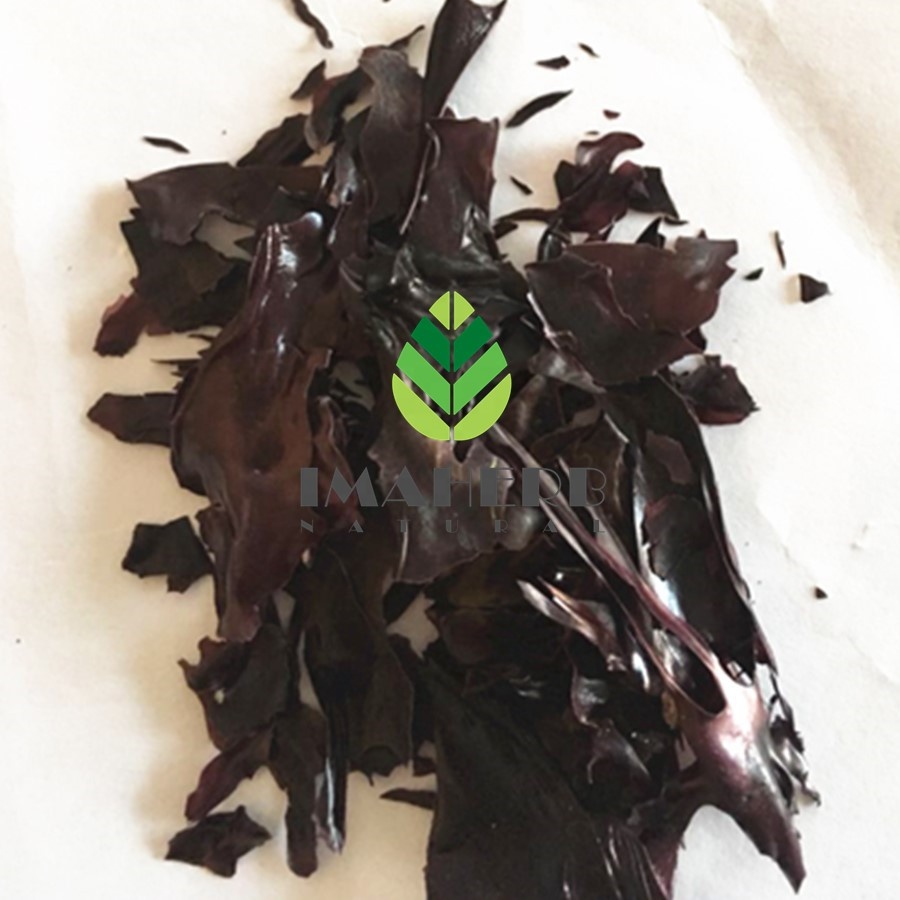 Горячая продажа Китай поставка dulse морские водоросли для здоровья продукта