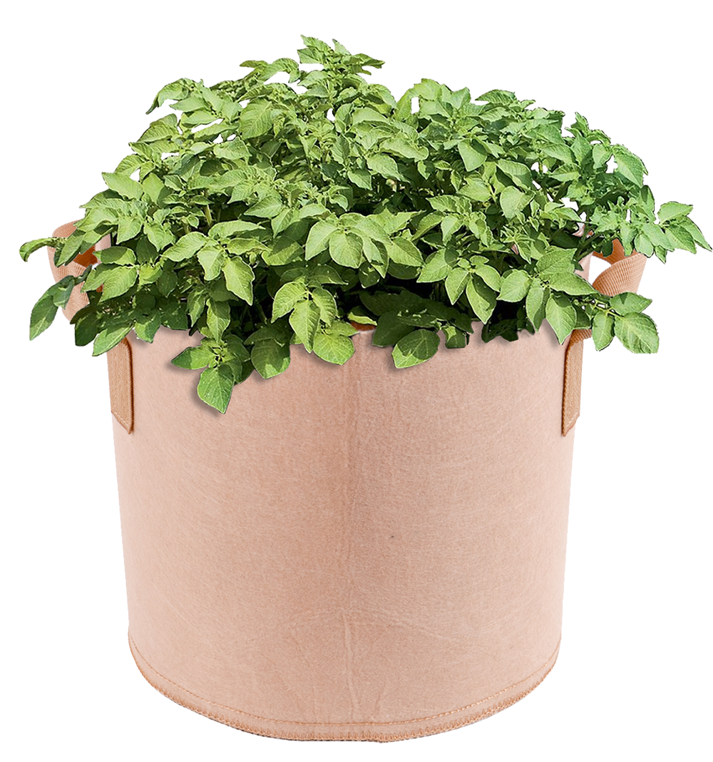 Hydroponic Green Room 30 Gallon Tan With Handles Fabric Grow Pot