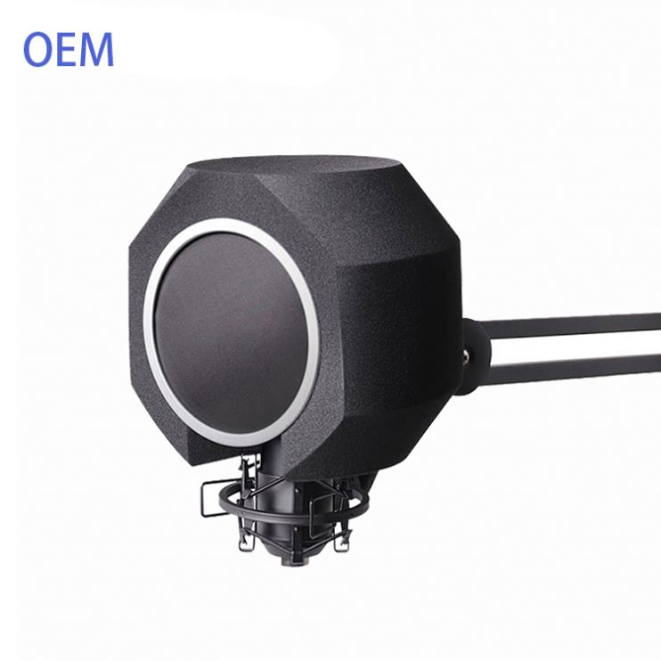 Оптовая торговля OEM портативный микрофон вокальный звукоизоляции щит фильтр ветрового стекла для студии звукозаписи