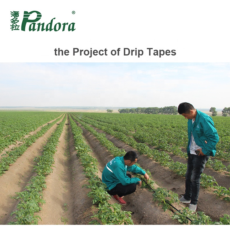 Pandora OEM plastic Smart Farm Irrigation System Pipe Automatic Drip Irrigation System