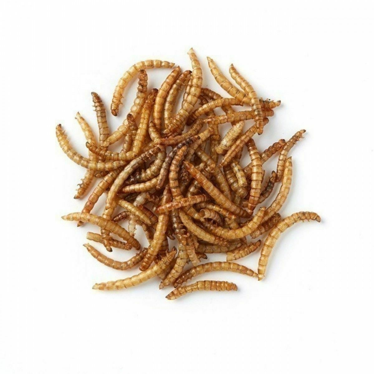 Микроволновая Сушеная и живая Mealworms на продажу