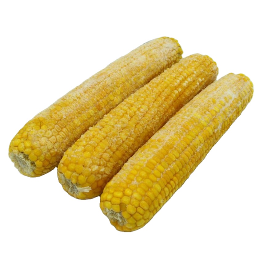 Желтая сладкая кукуруза на cob оптовая цена