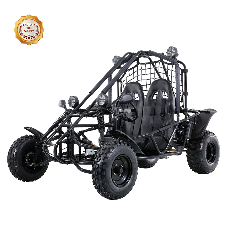 Cheap Offroad 200cc/250cc Gasoline/electric Beach Go Kart Karting Dune 4x4 Buggy Price For Adult Sale