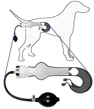 Canine Artificial Insemination Equipment TCI Gun for Dogs