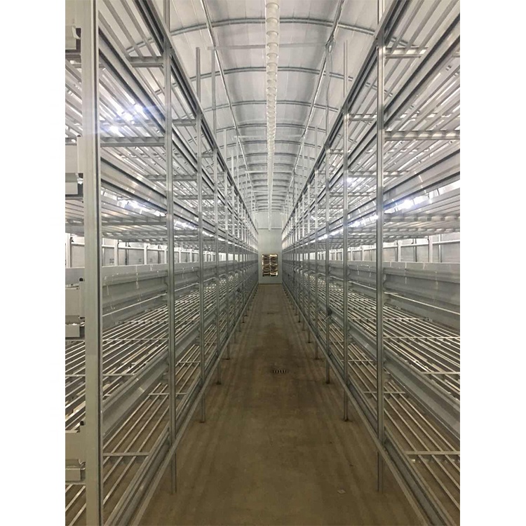 IGreen Greenhouse Tunnel Mushroom Green House With Galvanized Steel Frame Other Greenhouses