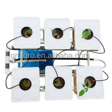 Full System Hydroponic Farm Tomato Growing Bags Rock Wool Cube Hydroponic System Dutch Bucket Kit