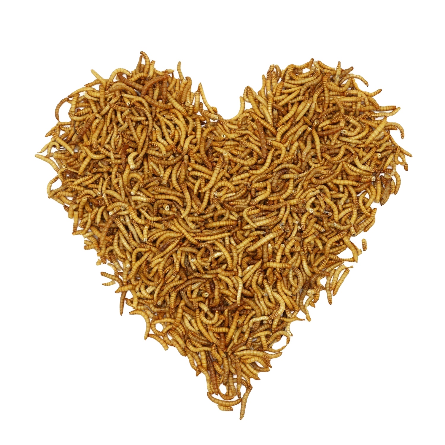 Pet food dried mealworm for fish High protein fast delivery
