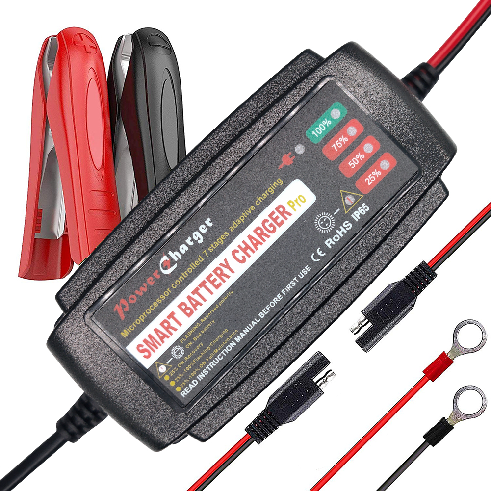 12V 5A свинцово-кислотный аккумулятор зарядное устройство Desulfator