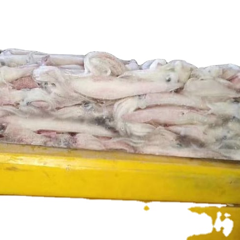 Горячая Распродажа, замороженный игольчатый кальмар