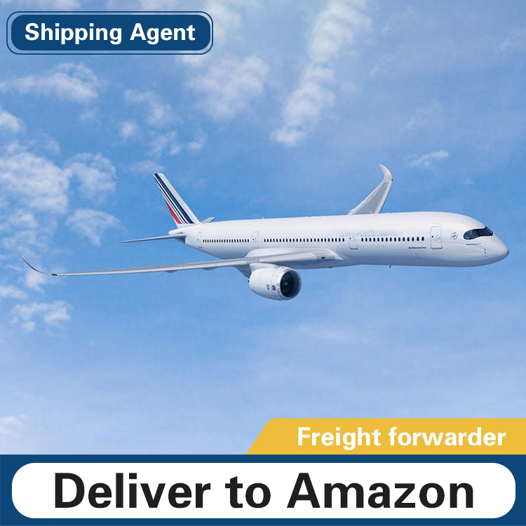 Air freight ddpr to door service to UK/USA Amazon FBA top 10 shipping agent free shipping to the united states freight forwarder