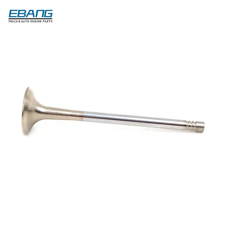 Engine Exhaust Valve 06D109611L