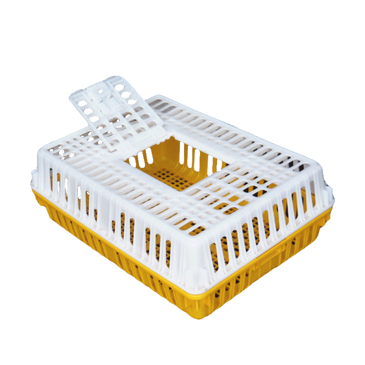 farm chicken crate poultry transport cage plastic eggs layer box
