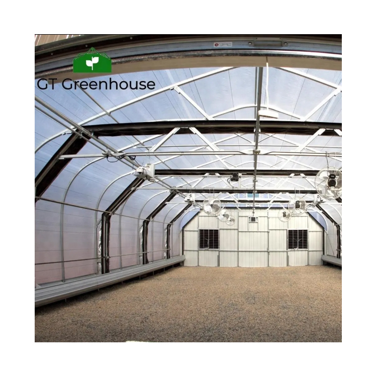 Steel pipe polycarbonate commercial greenhouses with blackout system