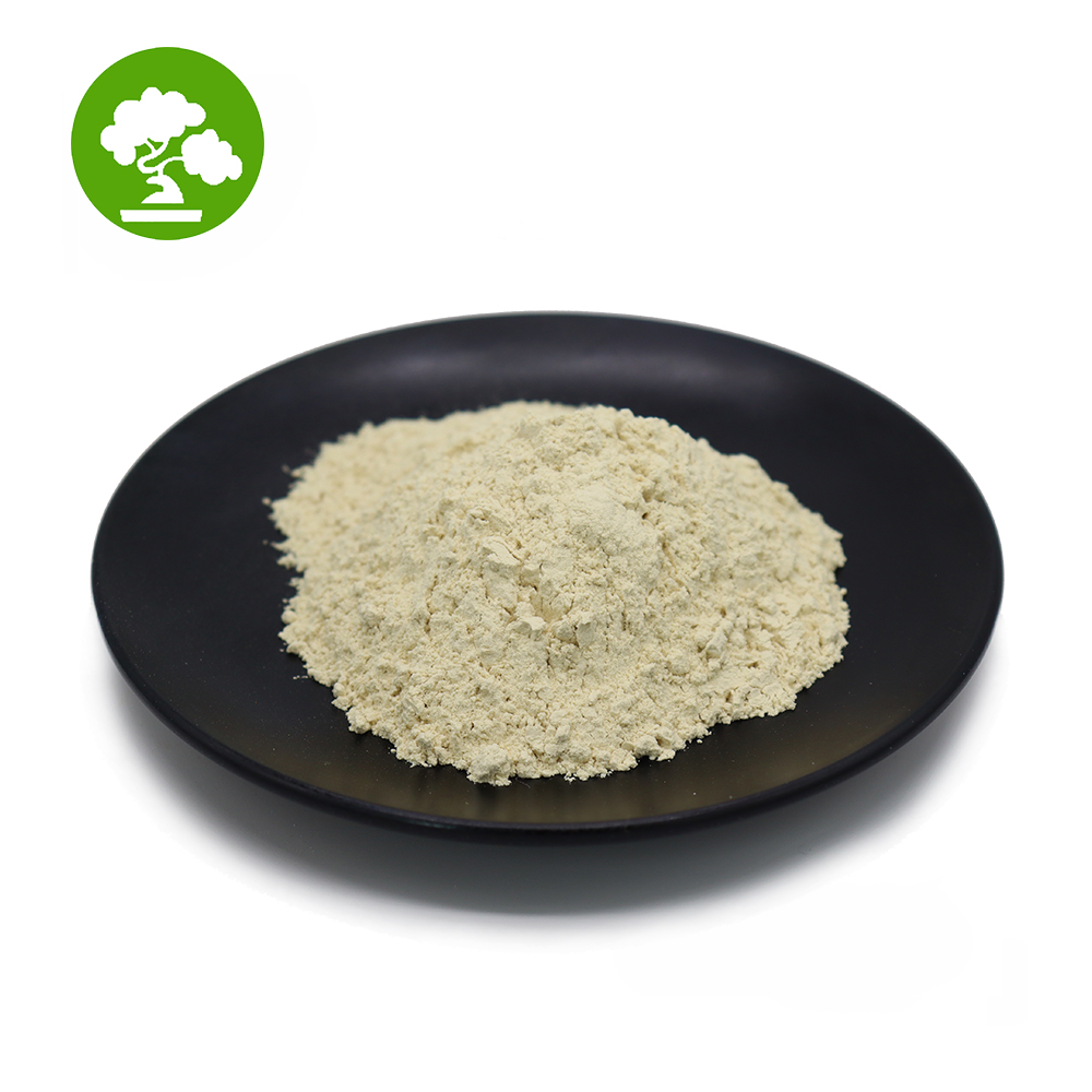 100%Natural Water Soluble Juice Powder Papaya Powder