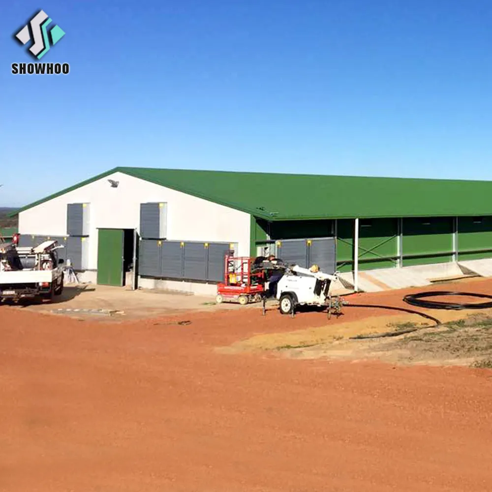low cost control steel poultry shed for sale