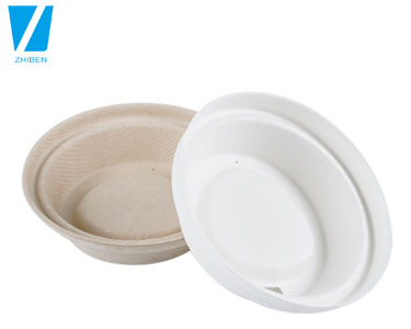 Dsechable bagasse coffee paper cup with biodegradable flat lid / cup dome eco lid
