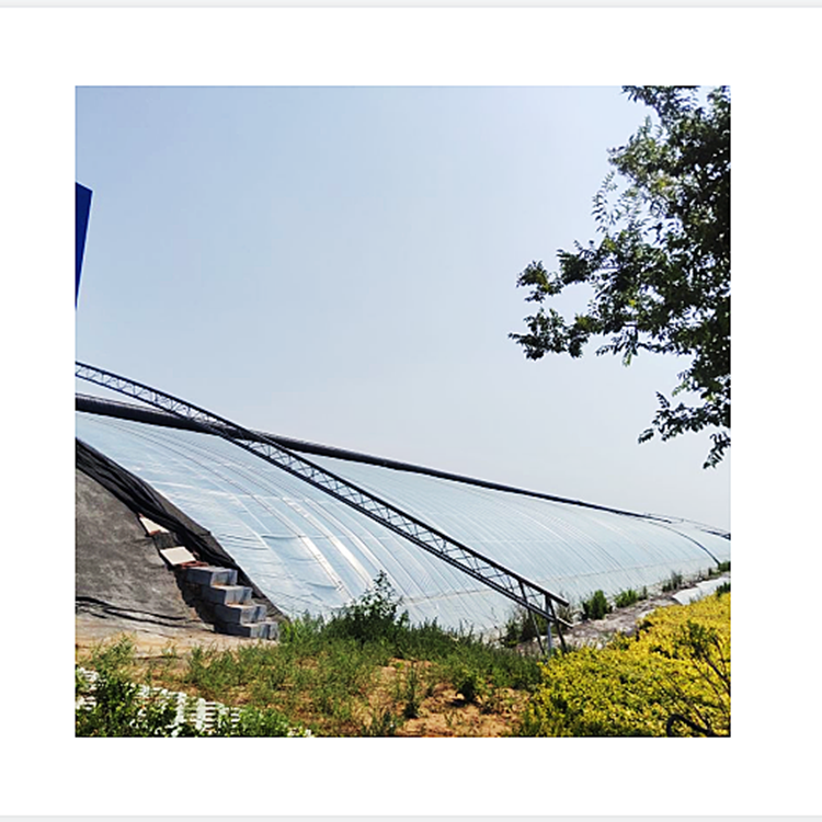 Wholesale Economic Sunlight Tomato Greenhouse Wall Tempreture Keeping Winter warming vegetables