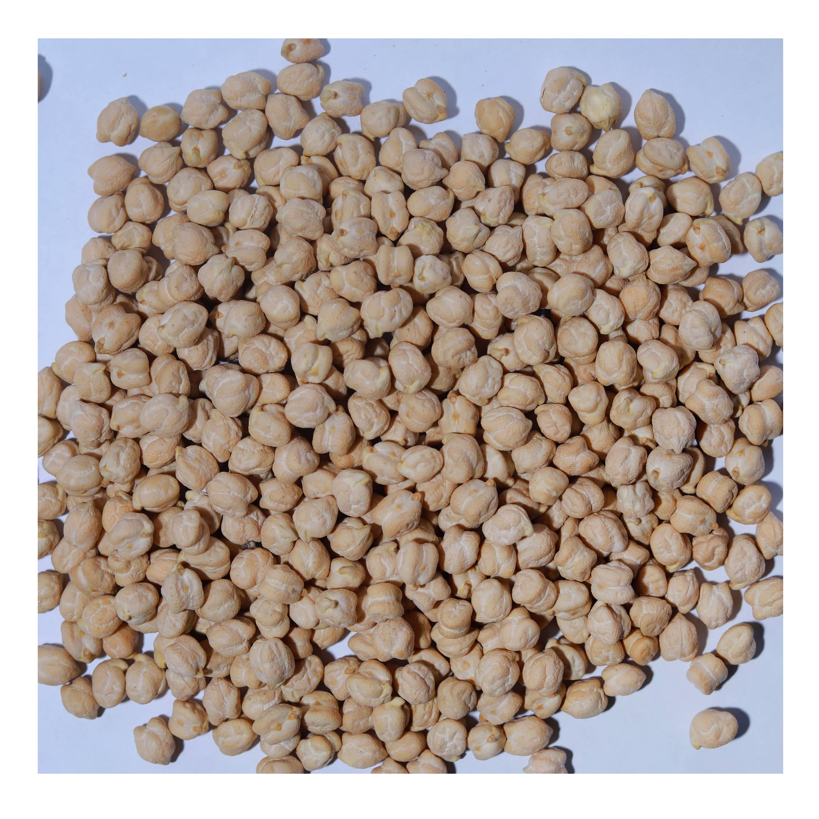 Dried raw chickpeas 8-12mm new crop