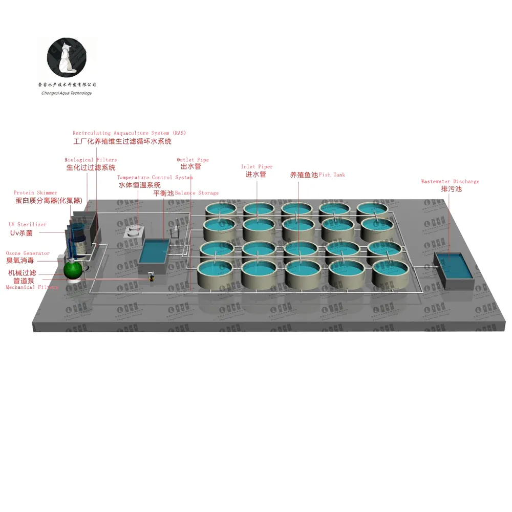 Cheap Tilapia Indoor Fish Farm Bio Filter RAS Aquaculture System Equipment for Fish Farming