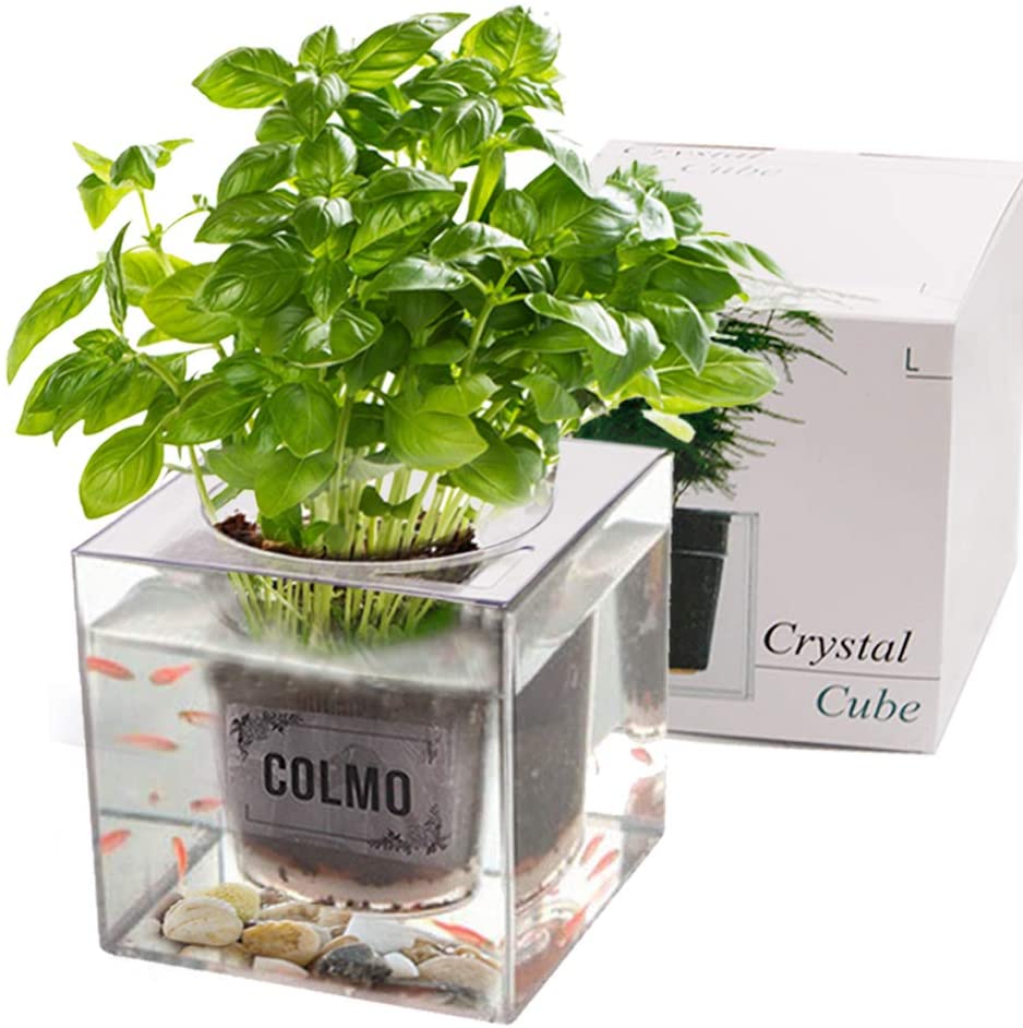 Aquaponic Fish Tank, горшок для посадки, миска для рыбы, набор для посадки почвы, подходит для маленьких рыб и посадки