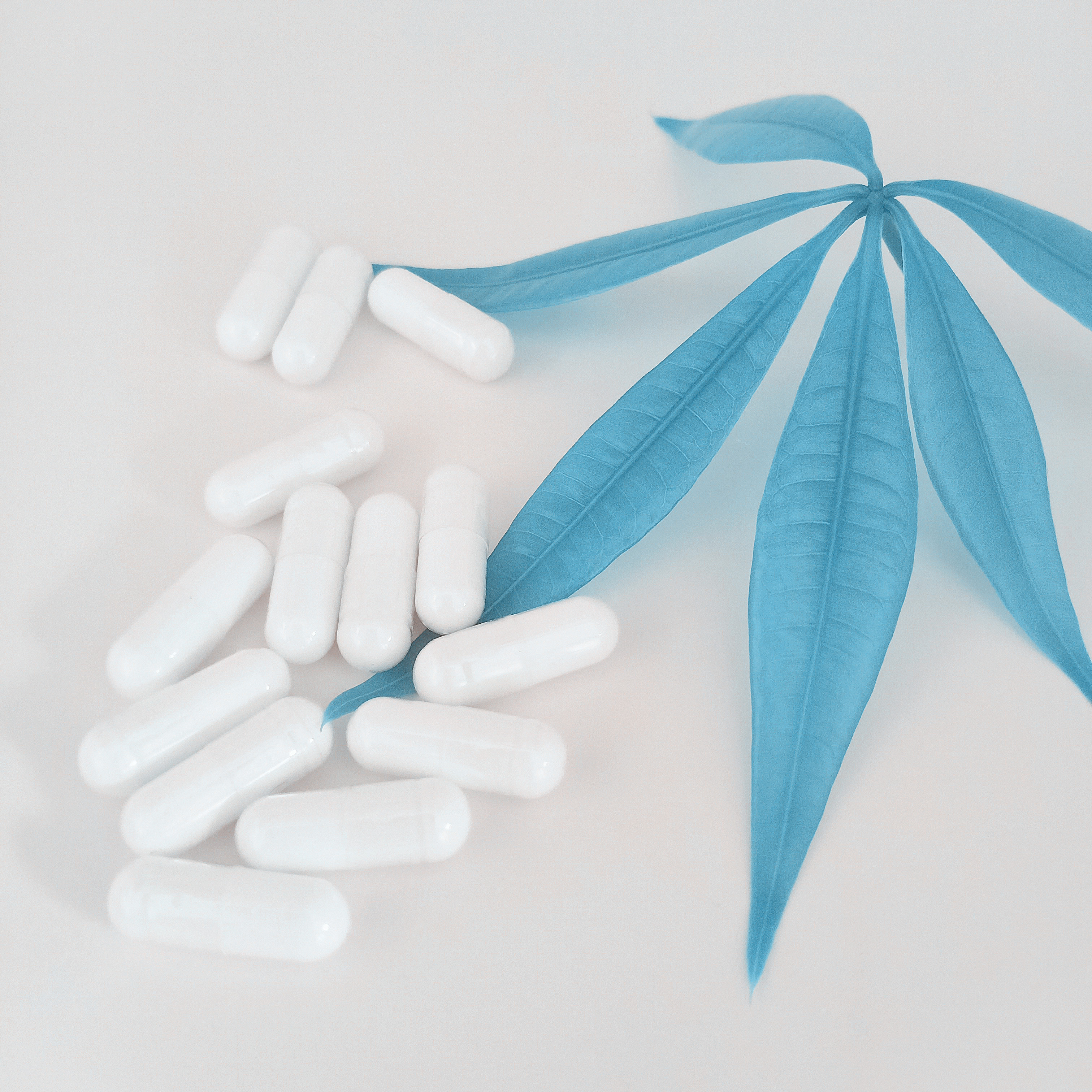 Manufacturer supply weight loss slimming pills