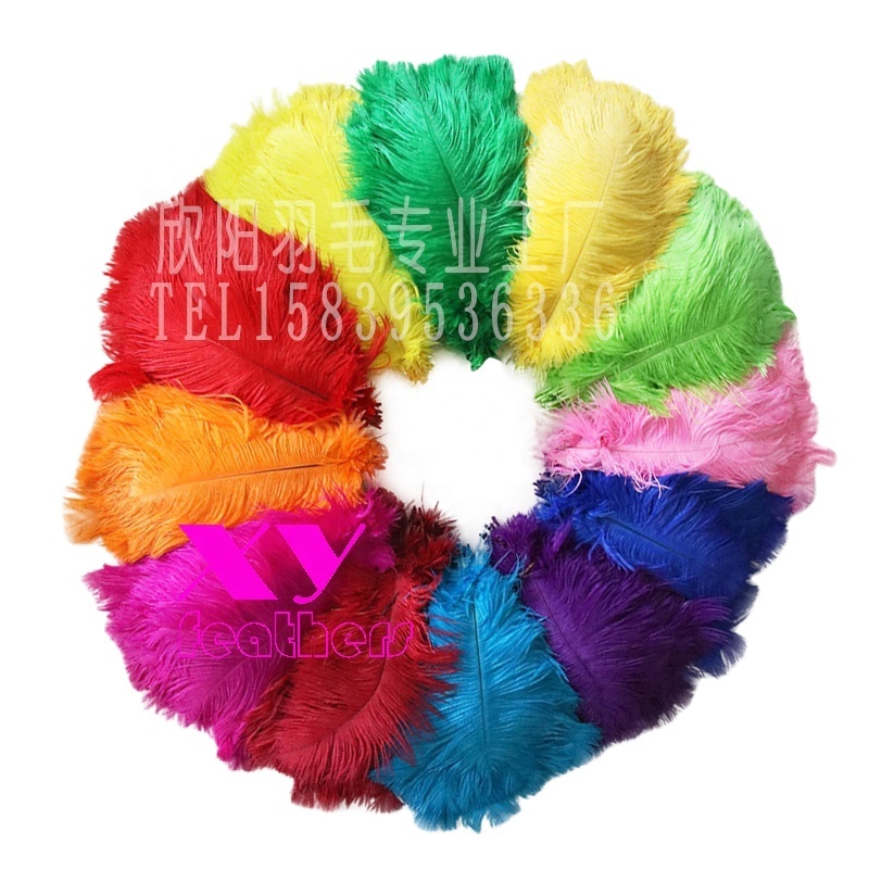 High quality 45-50cm natural and dyed ostrich feather for dream catcher diy decoration