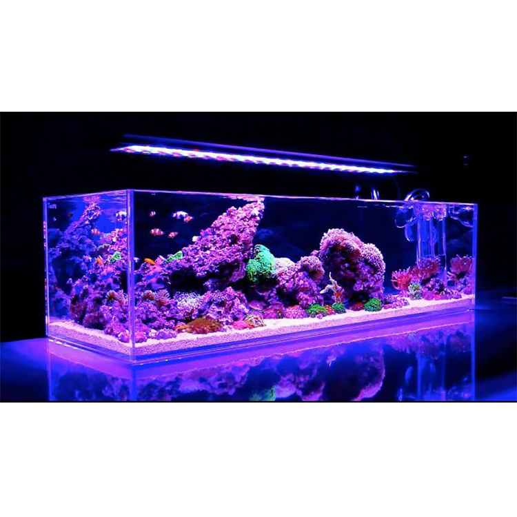 Фабричный большой пластиковый декор, прямоугольный Acuario Acrilico Pecera для продажи