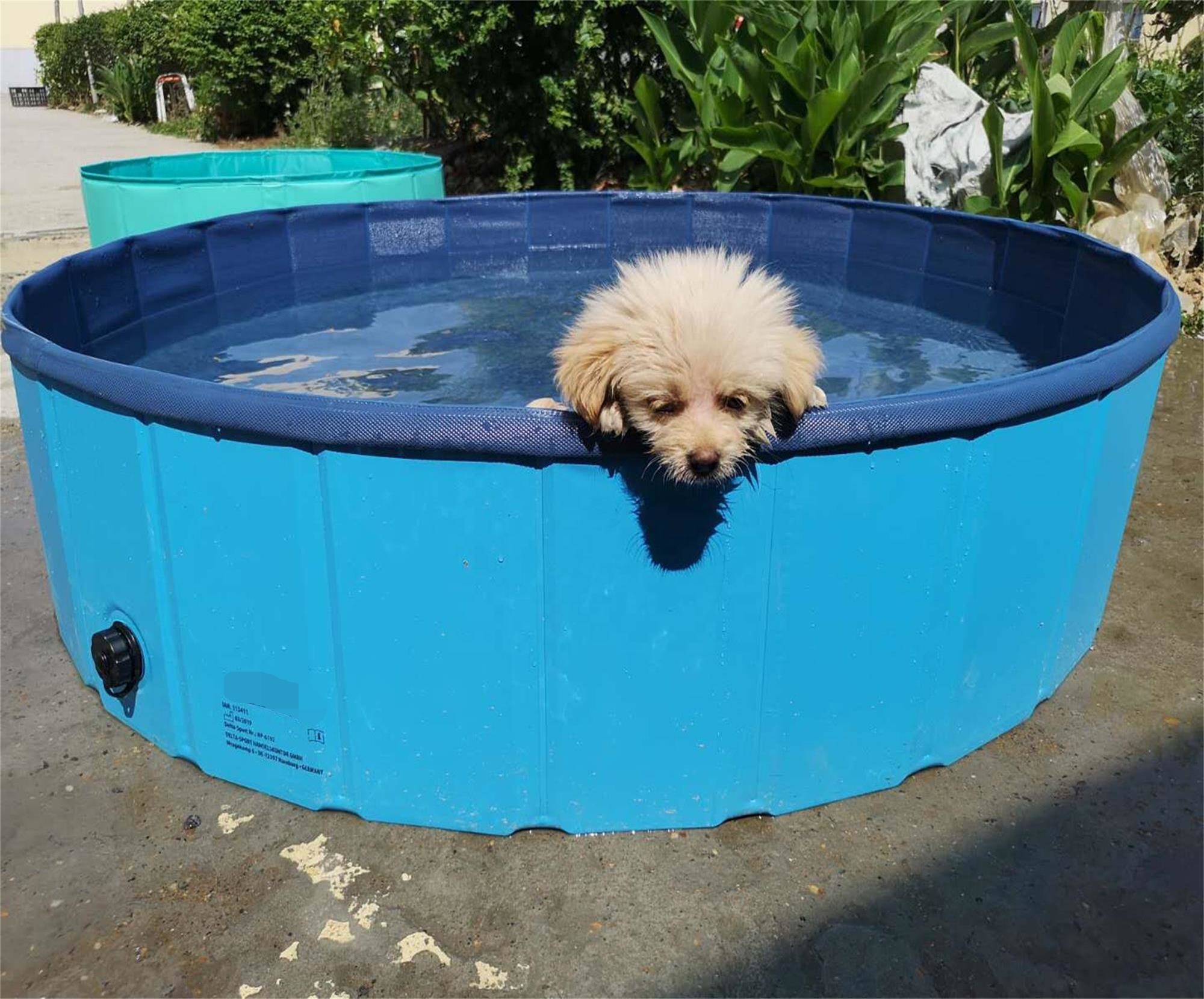 Foldable easy set portable pet bath pool dog swimming pool animal cleaning pool