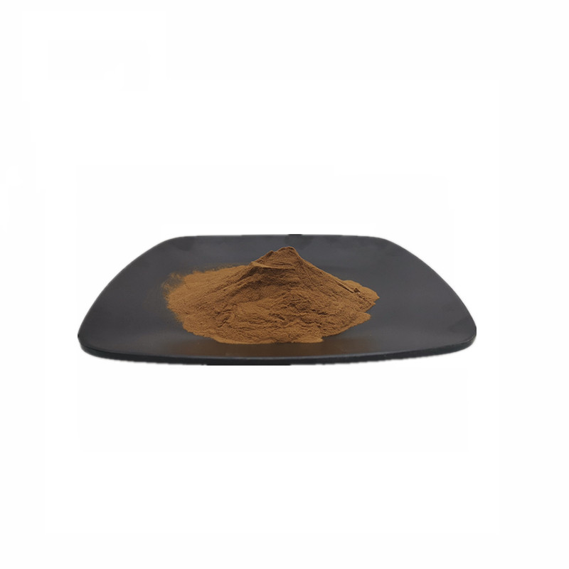 Reishi Mushroom Extract Powder 10:1 Ganoderma Lucidum Extract