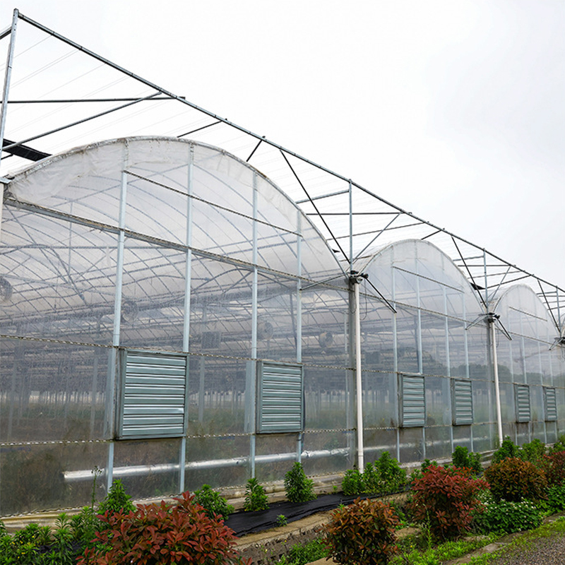 Agricultural Muti-span film tunnel seedling greenhouse for soilless culture growing and hydroponic growing