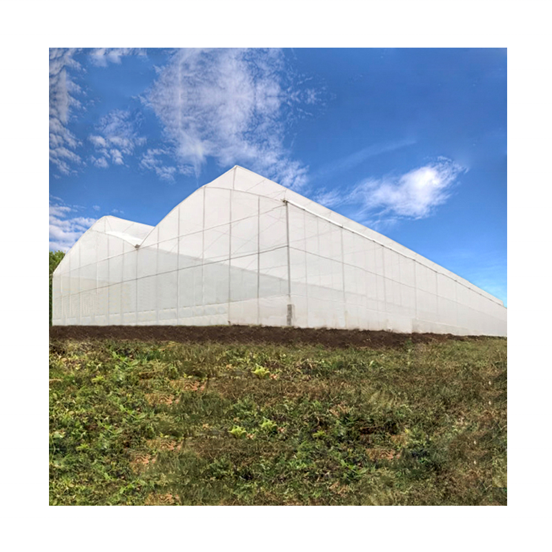 Factory Price Commercial Greenhouse Film Agriculture Easy Install Greenhouse Multi-span Plastic Film Green House
