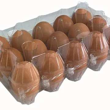 15 отверстий ПЭТ ПВХ пластик яйцо лоток для упаковки яиц