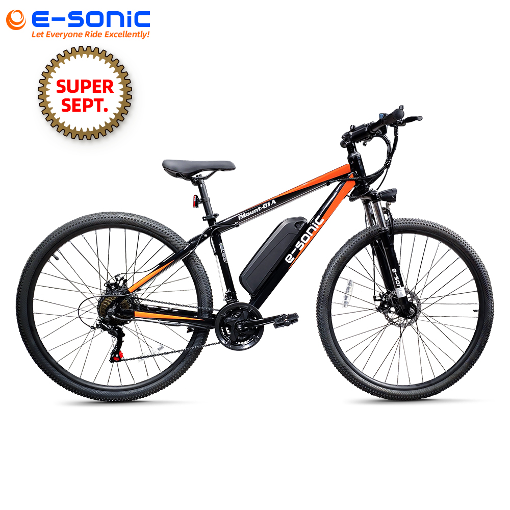 E-SONIC factory wholesale price iMount-01A electric mountain bike 36v 10a ebike 29 inch 21SP rear drive motor MTB ebike for sale