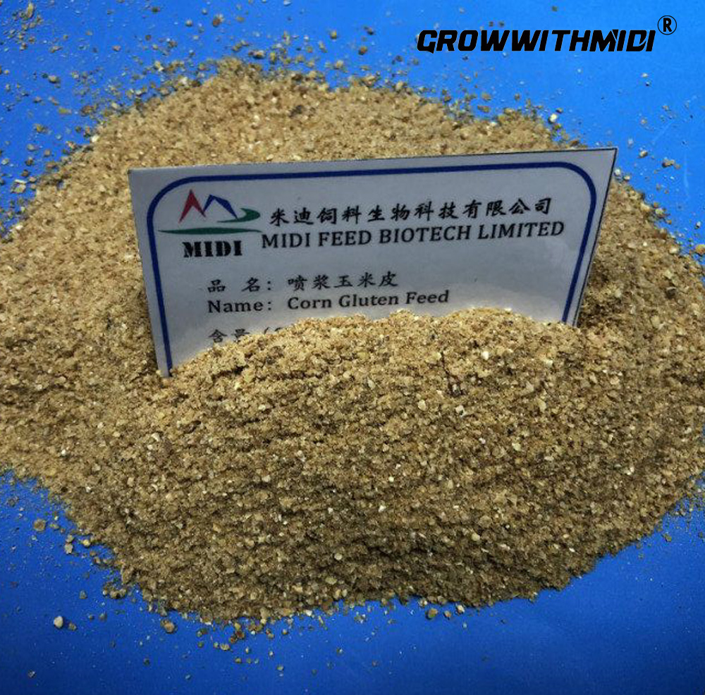 Corn gluten feed 18% 28% protein purity concentrate feed
