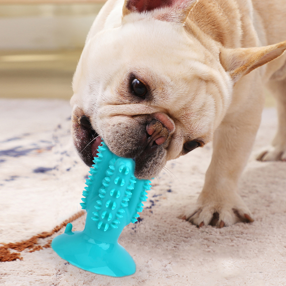 New Upgrade Cactus Shape Dog Chew Toy Sticks Dental Care TPR Material Toothbrush For Dogs