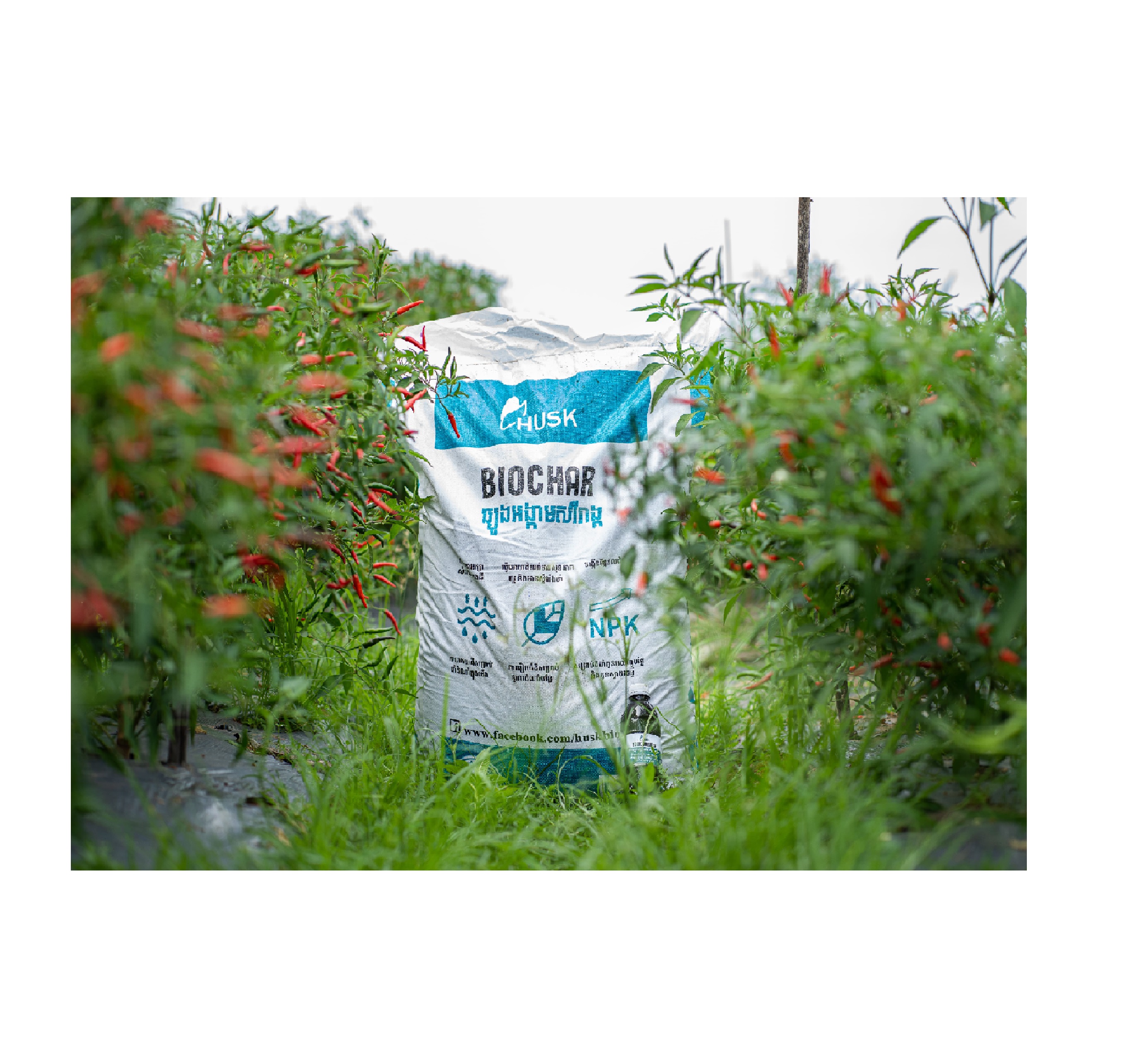 Agricultural Biological 100% Rice Husk Biochar Fertilizer Good