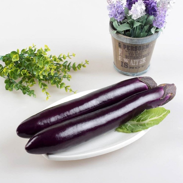 Long eggplant seeds