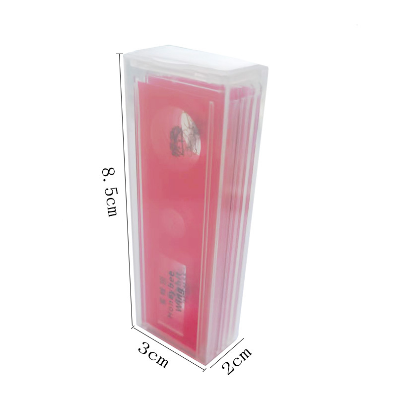 5pcs Children Education Used Biology Prepared Microscope Slides Set for Microscope